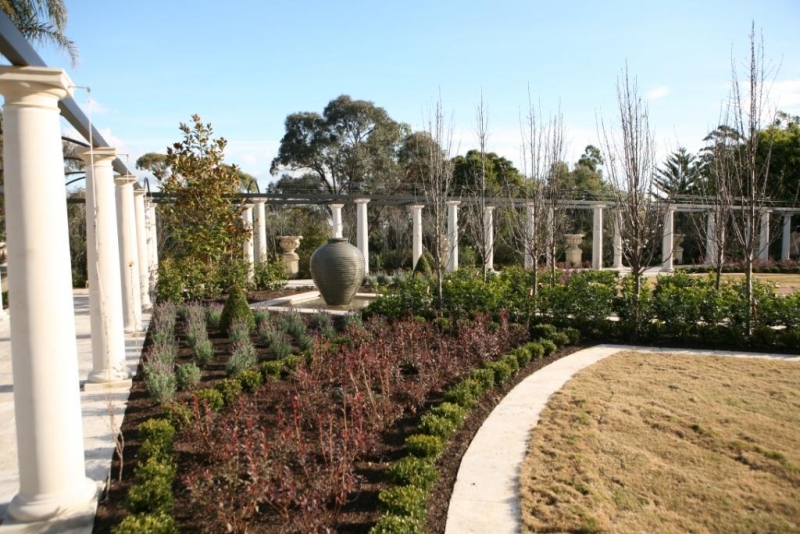 Grand scale formal garden Project completed by Rolling Stone Landscapes in 2004.  Alpine Nurseries is proud to be a supplier to Rolling Stone Landscapes and has supplied and sourced a wide range of plant material for them over many years. Recently Rolling Stone were involved in the design and construction of a spectacular formal garden that incorporated a wide range of plants from very tall instant hedges to low formal hedges as well as many decorative flowering plants and foliage colours.  Many of the plants were grown on especially for the project by Alpine to provide the highest quality stock for such a prestige assignment. This process also gave Alpine the ability to grow some of the hedging plants to a specific height that was nominated by Rolling Stone. It is a great example of how with time and good communication between the designer and the nursery fantastic results can be achieved.  Feature trees that were used in the project were 200litre Magnolia grandiflora ‘Exmouth’ with 100litre Cupressocyparis ‘Leighton Greens’ being used as the super tall hedging. Other plants that were used on site included Murraya, Gardenia Florida, Camellia sasanqua and Syzygium Resilience. Syzygium Resilience was used in large numbers to minimize ongoing maintenance; this variety was selected due to its resistance to psylids.  This garden has been used for a charity fund raising party and was also featured on television on Better Homes and Gardens. Featured plants      Magnolia grandiflora ‘Exmouth’ - 200 litre     Cupressocyparis ‘Leighton Greens’ - 100 litre     Murraya     Gardenia Florida     Camellia Sasanqua     Syzygium Resilience
