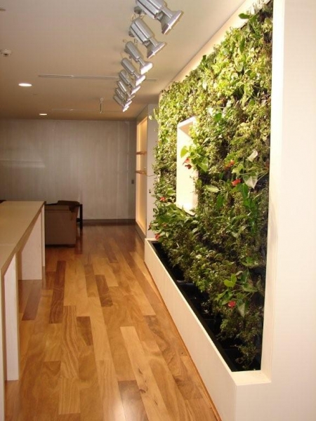 Green walls and roof gardens