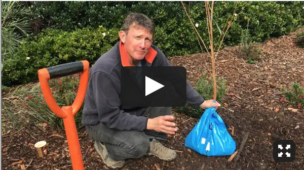 Craig Rich | Planting Bare Root Trees