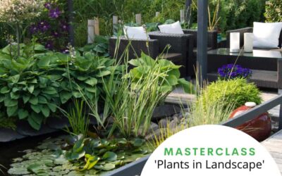 ‘Plants in Landscape’ Masterclass