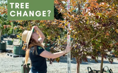 Time for a tree change?