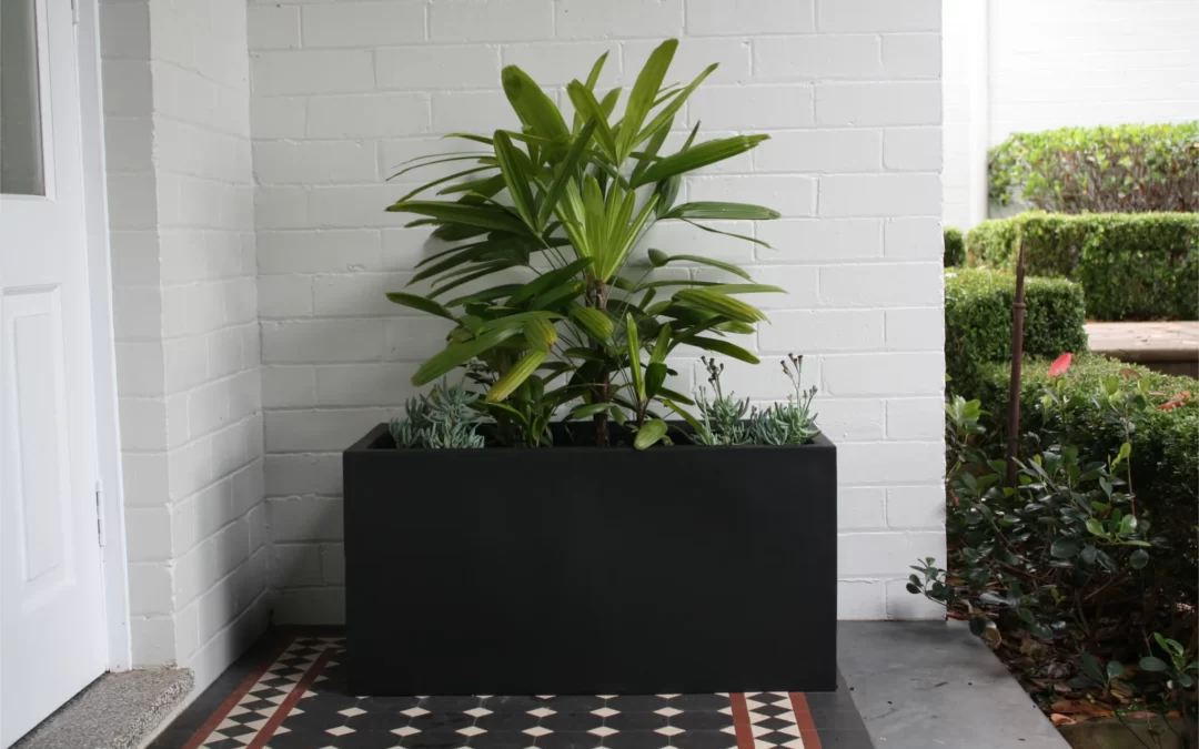 Elevate Your Greenery with Contemporary Lightweight Elegance